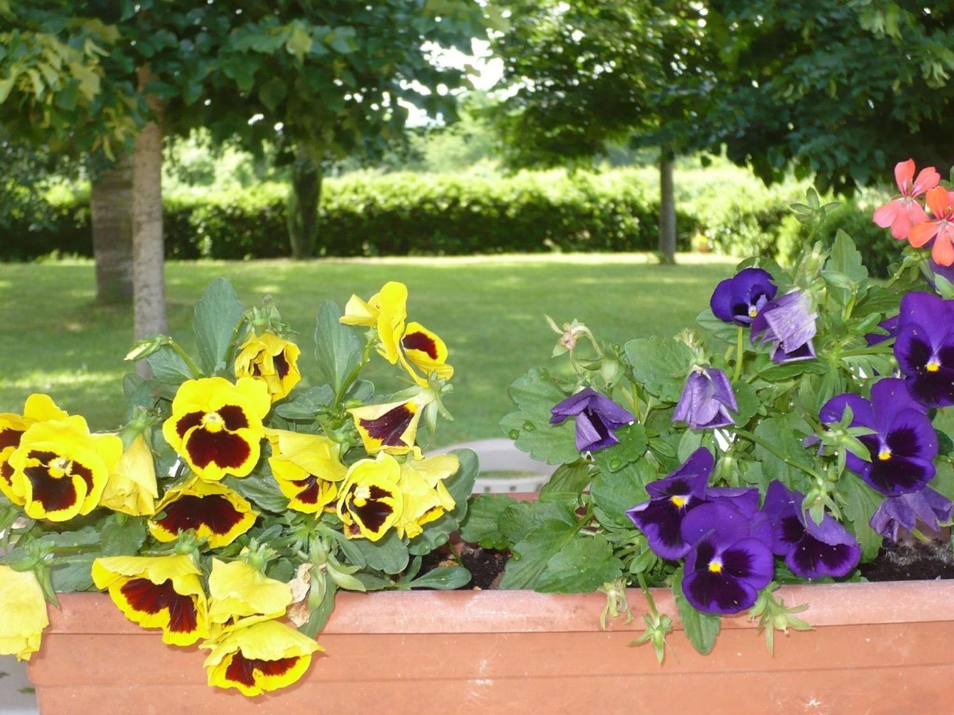 Charmantes Ferienhaus In Piani Della Rugginosa Mit Grossem Garten レッジェッロ エクステリア 写真